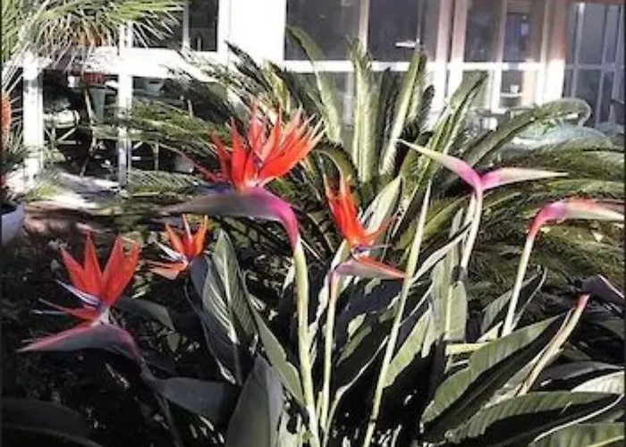 Logis L'esterella 3*